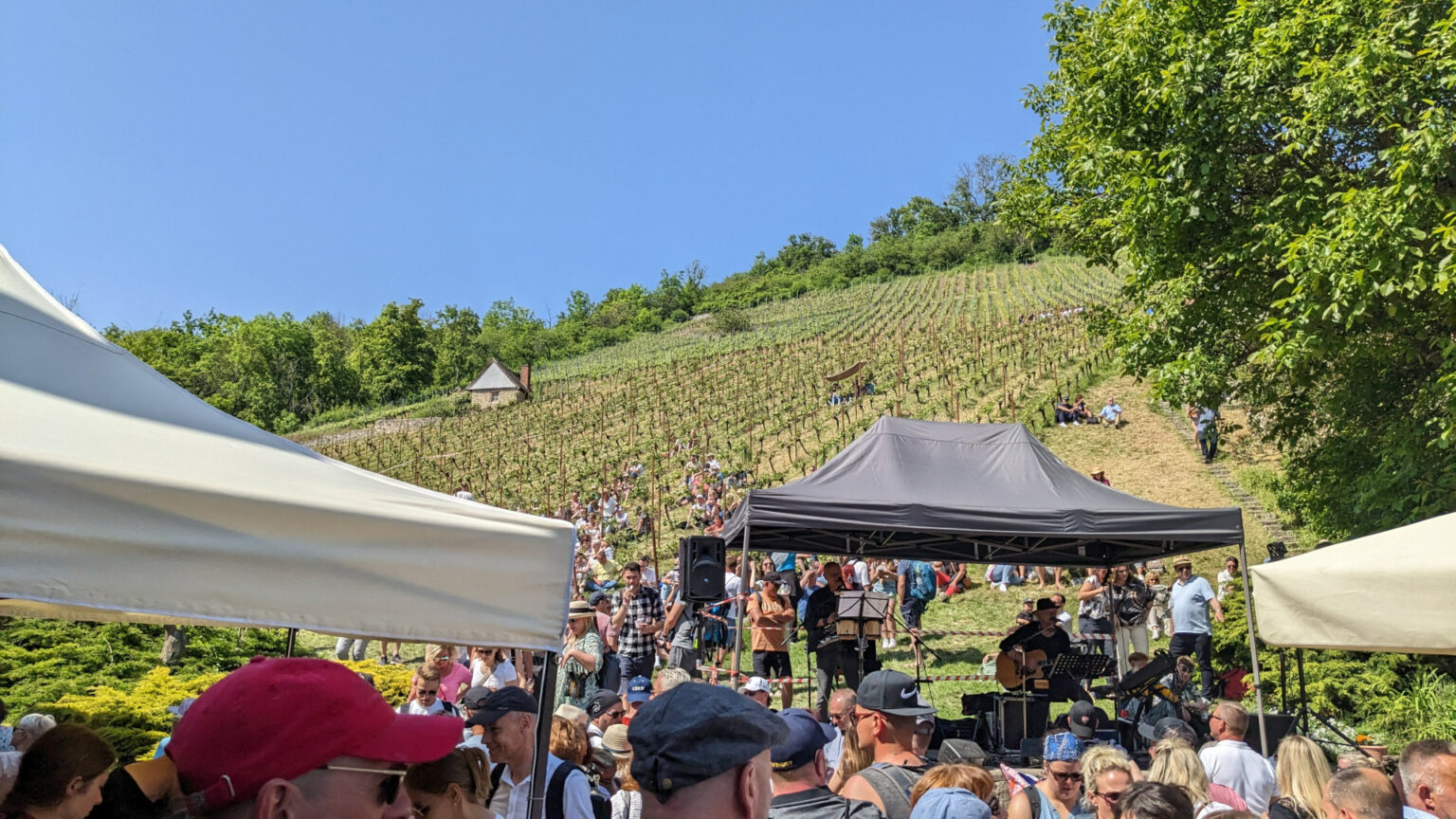 Saale Weinmeile 2024: Die Weinsaison eröffnen - weinpakete.com