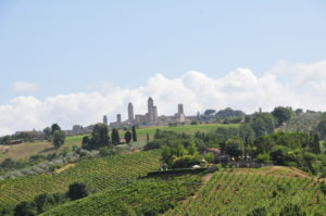 Weinanbau in Italien